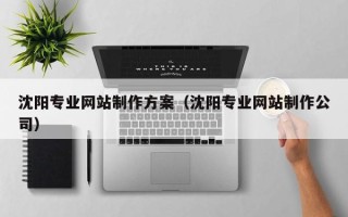 永州沈阳专业网站制作方案（沈阳专业网站制作公司）